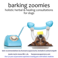 Barking Zoomies Holistic Dog Nutrition Consultations - Nationwide