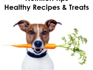 dog nutrition
