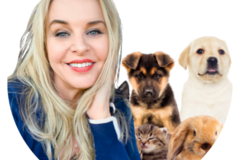 Request Quote: Happy Tails on Trails | Dog Boarding - San Jose, CA