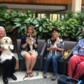 Playful Pups and Performance Training | Dog Trainer - Virginia Beach, VA
