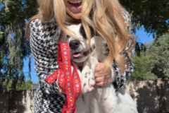 Request Quote: Stress-Free Pet Flight Nanny | Domestic & International - Nationwide