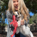 Stress-Free Pet Flight Nanny | Domestic & International - Nationwide