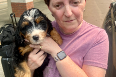 Request Quote: Kathy’s Pet Services - South Burlington, VT
