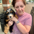 Kathy’s Pet Services - South Burlington, VT