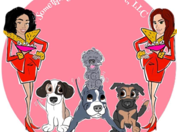 pet flight nanny St. Louis MO
