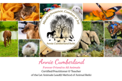 Request Quote: Distance Reiki Healing for Animals  - Nationwide