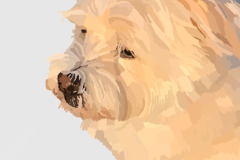 Request Quote: Chloe Groseclose | Custom Realistic Pet Portraits - Nationwide