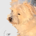 Chloe Groseclose | Custom Realistic Pet Portraits - Nationwide