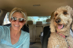 Request Quote: My Heart Gets Warm From A Cold Nose | Pet Relocation - Nationwide