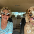 My Heart Gets Warm From A Cold Nose | Pet Relocation - Nationwide