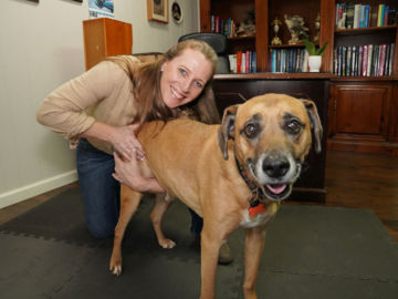 Dr. Peterson adjusting a dog