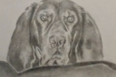 Request Quote: Customized Hand-Drawn Graphite Pencil Portraits Drawings - Nationwide