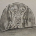 Customized Hand-Drawn Graphite Pencil Portraits Drawings - Nationwide