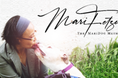 Request Quote: Mari Fetzer : Regulation-First, Certified Dog Trainer - New York, NY
