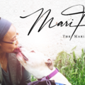 Mari Fetzer : Regulation-First, Certified Dog Trainer - New York, NY
