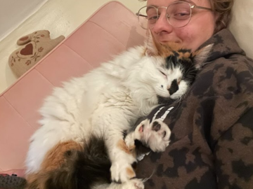 Frankie, Cat