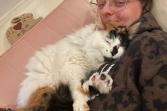 Request Quote: Local Pet Sitting and Care - West Somerville, MA