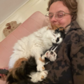 Local Pet Sitting and Care - West Somerville, MA