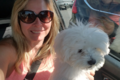 Request Quote: Kelly's South County Pet Sitting  - Mission Viejo, CA