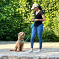 Good Pup Academy - Bilingual Dog Obedience Training - Vallejo, California
