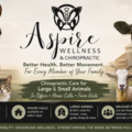 Aspire Wellness & Chiropractic | Family & Animal Care - North Tazewell, VA
