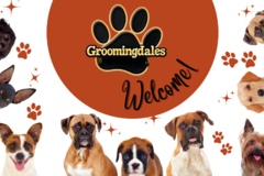 Request Quote: Groomingdales | Pet Taxi Services - Norfolk, VA