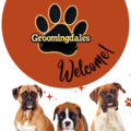 Groomingdales | Pet Taxi Services - Norfolk, VA