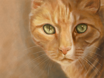 dramatic orange tabby portrait