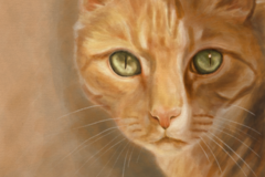 Request Quote: Expressive Custom Pet Portraits - Nationwide