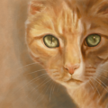 Expressive Custom Pet Portraits - Nationwide