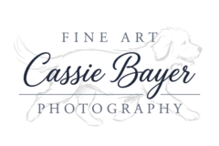 Request Quote: Cassie Bayer Pet Photography - North Augusta, SC