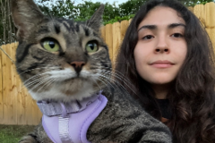 Request Quote: Feline Behaviorist and Trainer - Nationwide