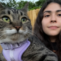 Feline Behaviorist and Trainer - Nationwide