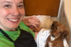 Request Quote: Zen Mobile Grooming | Stress Free In-Home Dog Grooming - Pittsburgh, PA