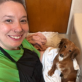 Zen Mobile Grooming | Stress Free In-Home Dog Grooming - Pittsburgh, PA