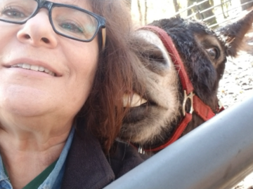 Donkeys love Reiki too! This is Donkey Oti