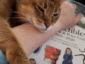 My Frankie