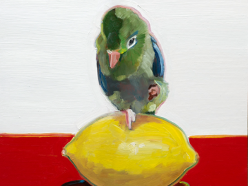 Parrotlet On Lemon