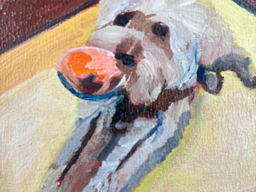 Dog with Toy