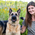 Welcome to The Wild Realm | Animal Reiki Healing - Nationwide