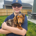 Dookie Dispatch Pet Waste Removal - Wichita, KS