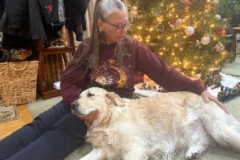Request Quote: In Home Therapeutic Animal Massage - Monroe Township, NJ