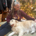 In Home Therapeutic Animal Massage - Monroe Township, NJ