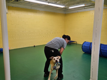 Rea and our evaluator Jasmine (owner of Wags and Whiskers)