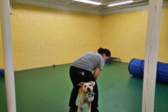 Request Quote: Faith's Place Doggie Daycare & Boarding - Kahului, HI