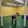 Faith's Place Doggie Daycare & Boarding - Kahului, HI