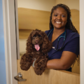 Dash Veterinary Services | Dr. Brittany Dash - Pompano Beach, FL