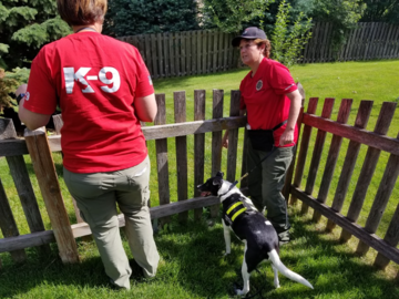 K9 Jett indicates how missing dog, Max got out.