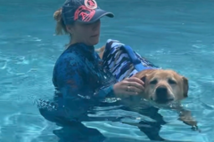 Request Quote: Dogaquatics | Aquatic Therapeutic Animal Massage - Wayne, PA