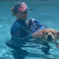 Dogaquatics | Aquatic Therapeutic Animal Massage - Wayne, PA